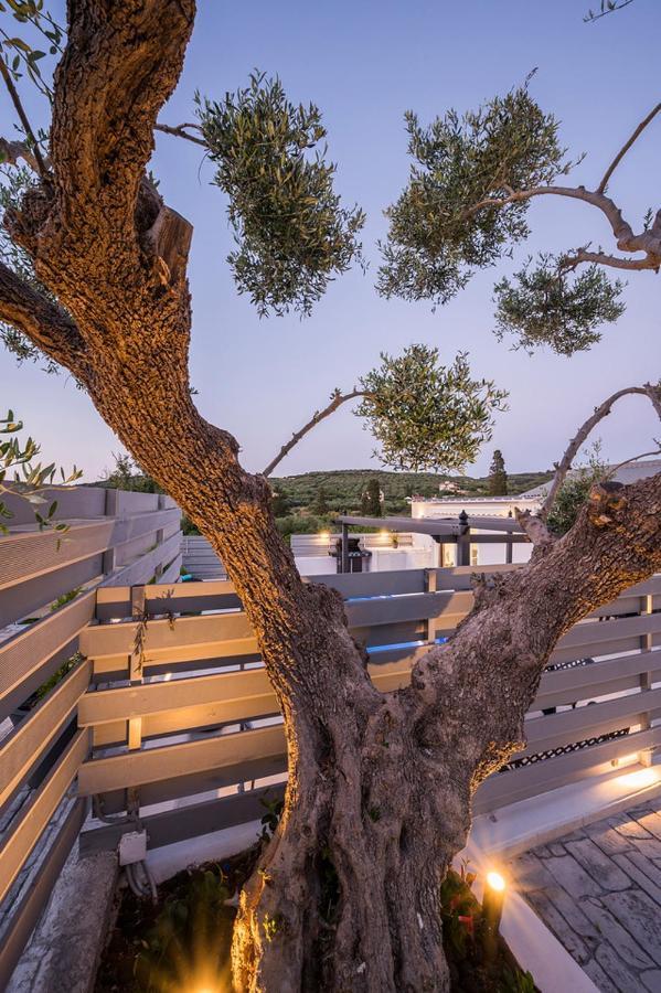 B&M Villas Metochi Siriliou Экстерьер фото